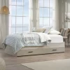 Twin Pacific View Day Bed Chalked Chestnut - Sauder