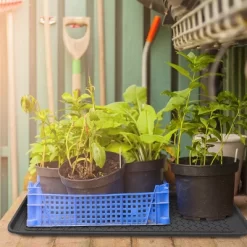 Fleming Supply All-Weather Large Plastic Boot Tray For Indoor And Outdoor Use – Set Of 2, Black -Cozy Living Deals Store GUEST 641ed8b3 d20a 4aac b465 3586faf5b946