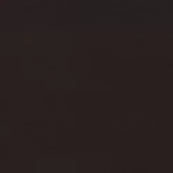 Reston Wood Console Sofa Table Cappuccino Brown - Coaster -Cozy Living Deals Store GUEST 8966e9b9 d811 4193 b7fc 2cf10f5a2619