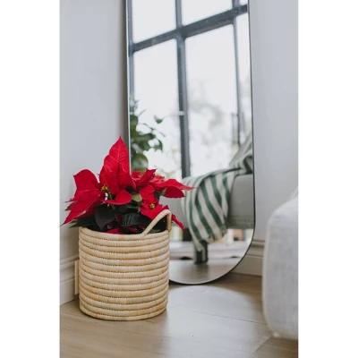 Mo's Crib Small Handcrafted Karula Basket With Handles 1 Mo's Crib Small Handcrafted Karula Basket With Handles