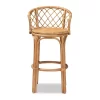 Orchard Rattan Barstool Natural/Brown - Bali & Pari