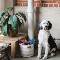 Midlee Dog Toy Rope Cotton Basket 10 Midlee Dog Toy Rope Cotton Basket -Cozy Living Deals Store GUEST f83d9c22 45a6 46c1 94a8 77b92bdeb646